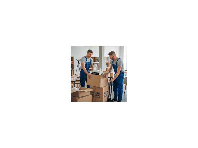 same-day-movers-toronto-fast-moving-solutions-small-0