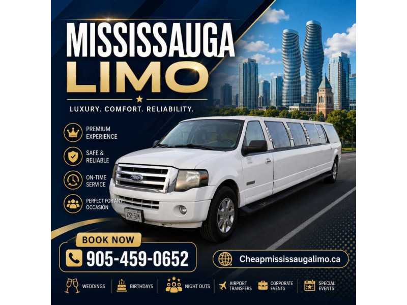 mississauga-party-bus-small-0