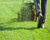 best-lawn-care-service-in-meadowvale