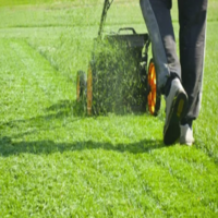 best-lawn-care-service-in-meadowvale-big-0