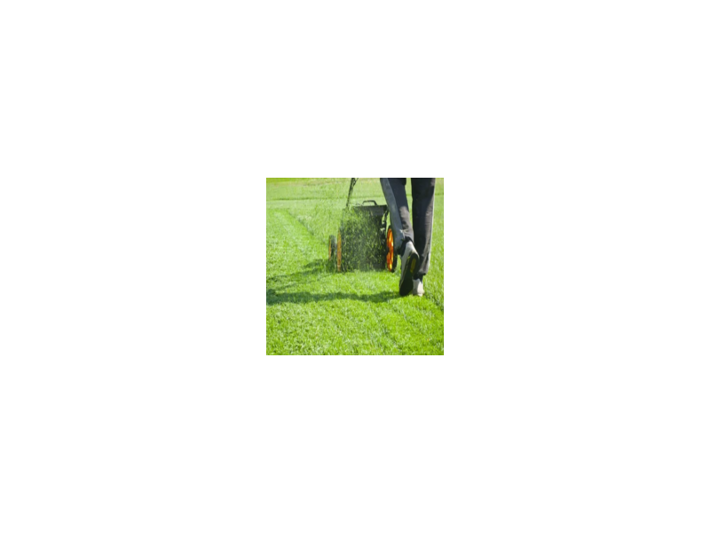 best-lawn-care-service-in-meadowvale-small-0