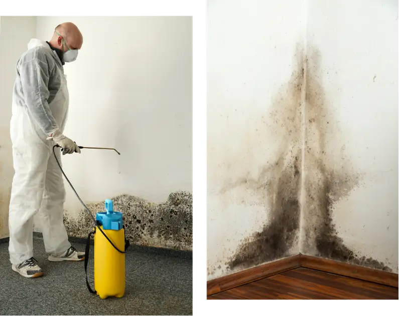 restoration-services-in-calgary-airdrie-hazpro-restoration-big-1