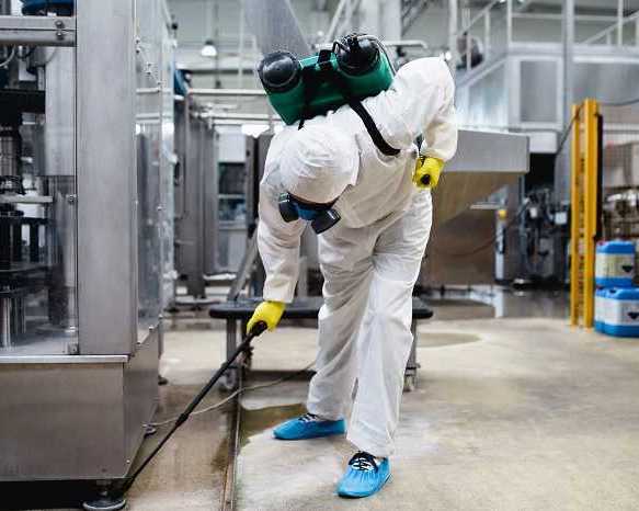 the-ultimate-guide-to-professional-pest-control-in-surrey