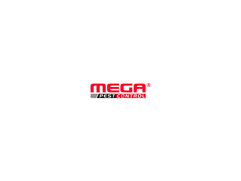 best-pest-control-coquitlam-trusted-local-solutions-small-0