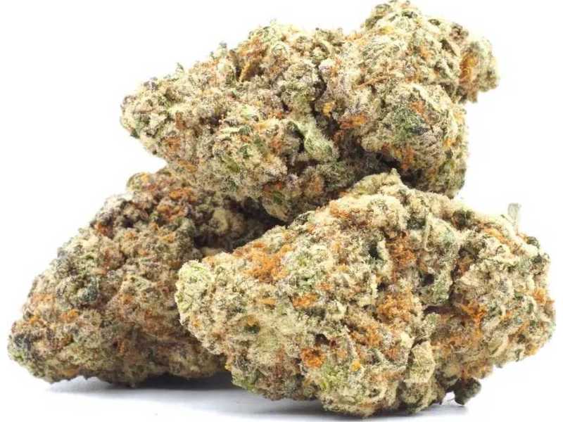 ice-wine-strain-small-0