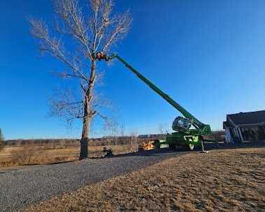green-thumb-tree-specialists-inc