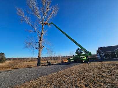 green-thumb-tree-specialists-inc-big-0