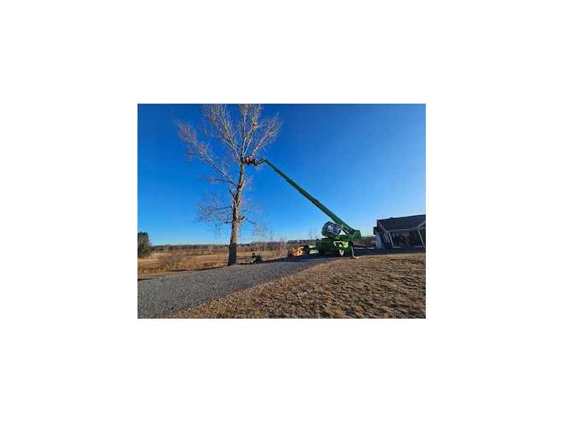 green-thumb-tree-specialists-inc-small-0