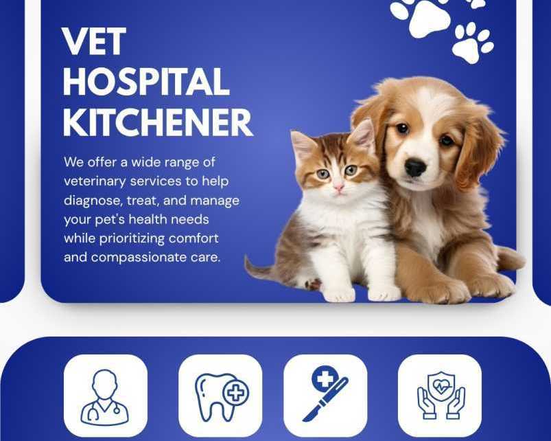 veterinary-hospital-in-kitchener-for-dogs-cats