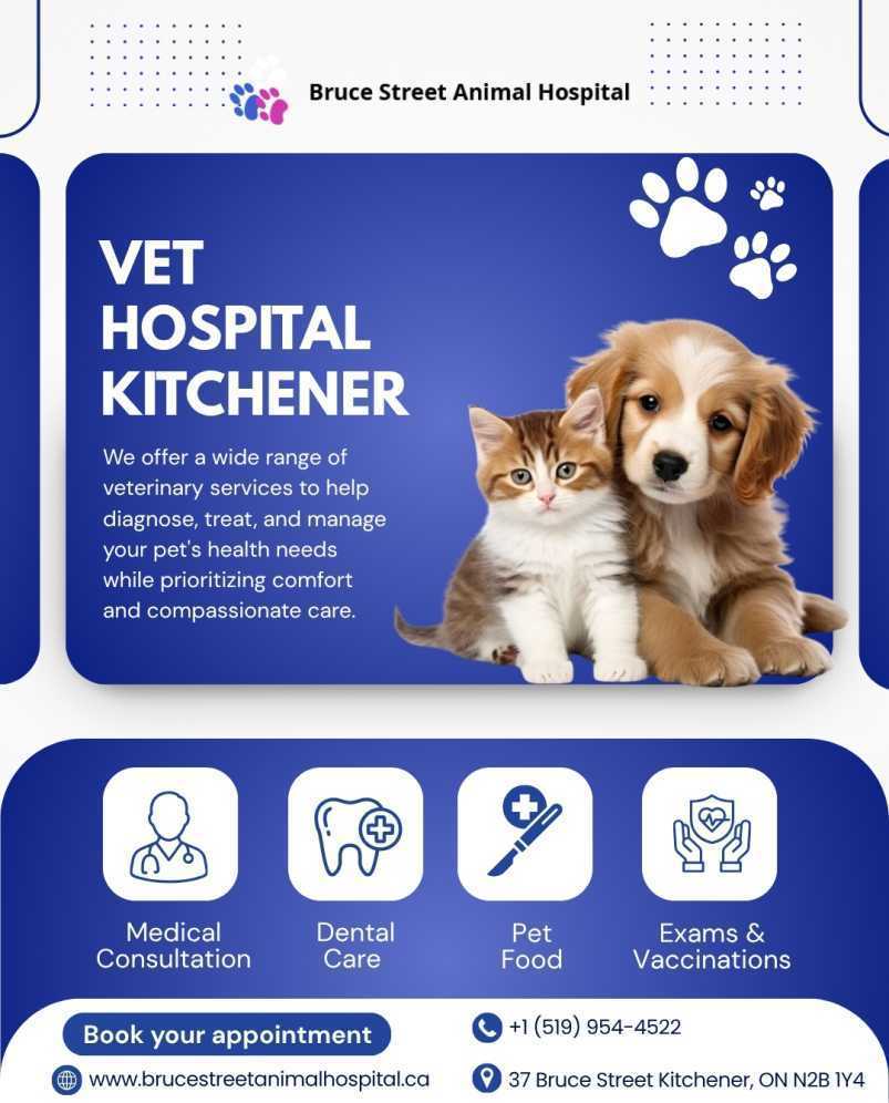 veterinary-hospital-in-kitchener-for-dogs-cats-big-0