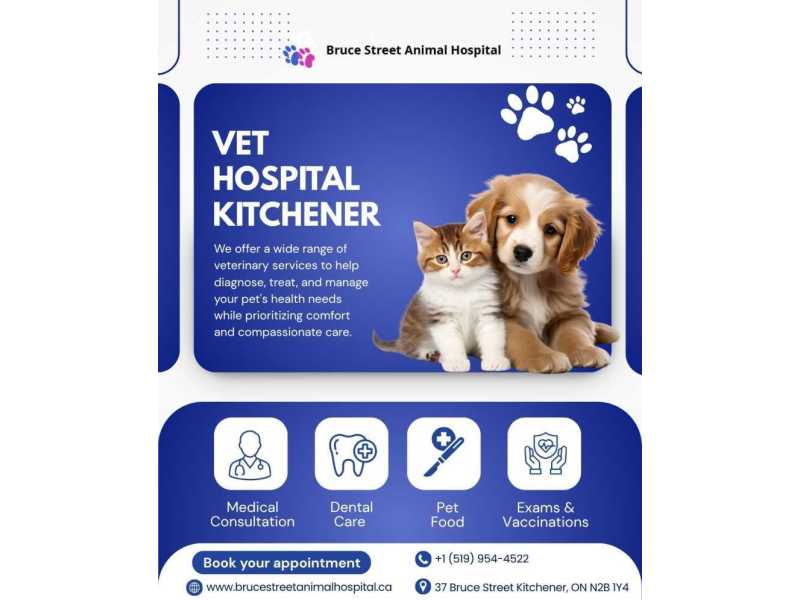 veterinary-hospital-in-kitchener-for-dogs-cats-small-0