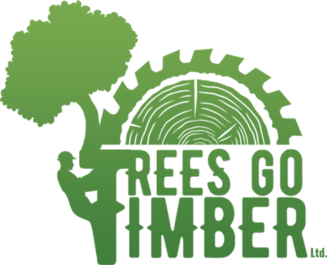 safe-tree-removal-edmonton-for-residential-properties-big-0