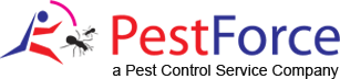 calgary-exterminator-for-safe-pest-control-services-big-0