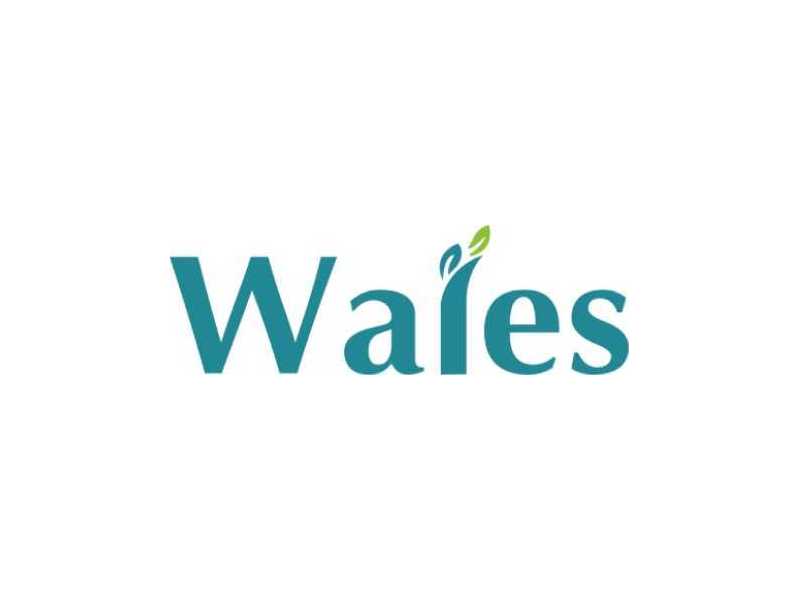 wales-industries-pty-ltd-small-0