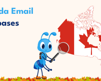 capture-premium-market-share-and-engage-high-value-canadian-leads-instantly