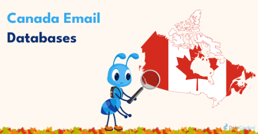 capture-premium-market-share-and-engage-high-value-canadian-leads-instantly-big-0