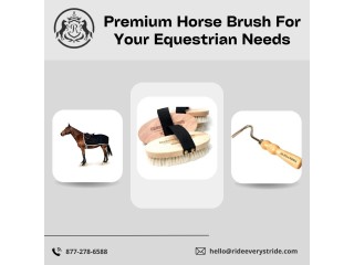 Premium Horse Brush For Your Equestrian Needs | Ride Every Stride
