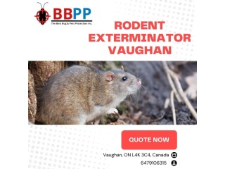 Reliable Rodent and Rat Exterminator in Vaughan - B.B.P.P.