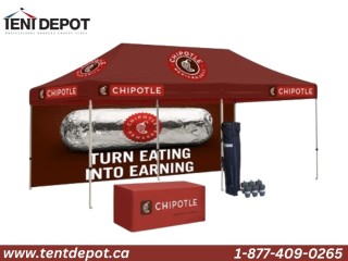 Explore Our 10x10 Canopy Tent Collection