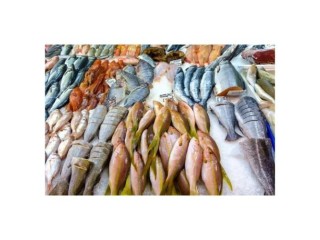 Canned Fish For Sale Canada