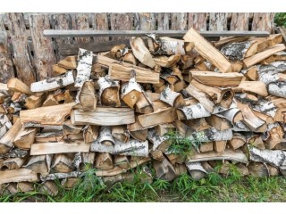 Premium Firewood Suppliers in Ottawa, ON