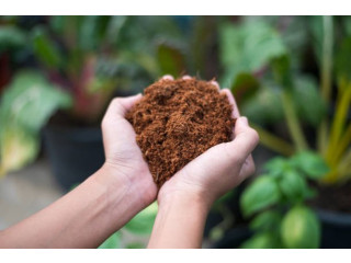 Update Your Garden with Natural Coir Materials!