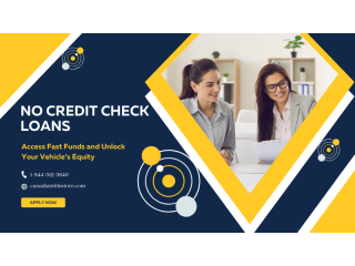 borrow-on-my-vehicle-with-no-credit-check-loans-small-0