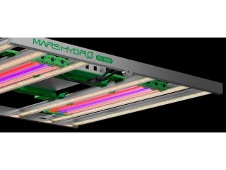 Light Up Your Grow with Mars Hydro's Supplementary LED Grow Lights – Up to 15% Off!