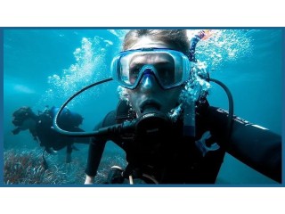 Unveiling the Magic of Guided Shore Dives and Boat Dives