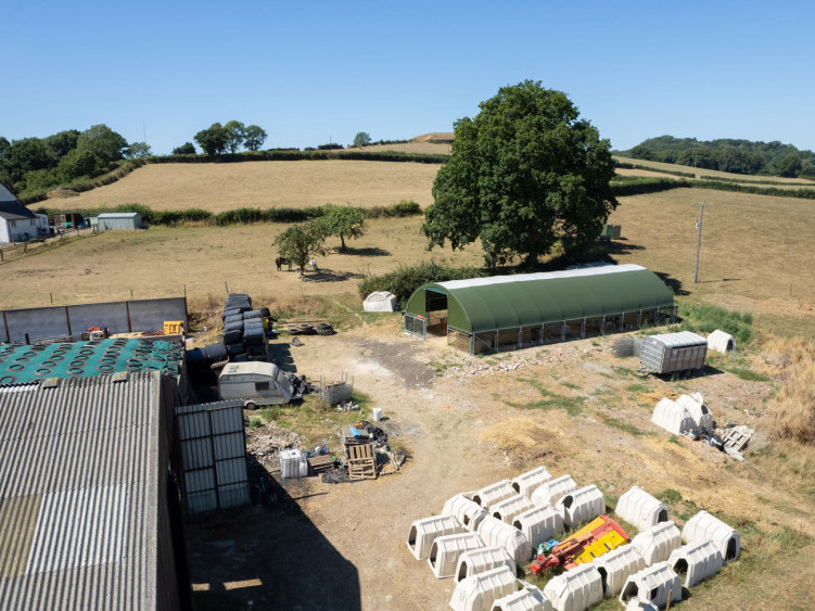 the-ultimate-calf-housing-for-modern-farms-big-3
