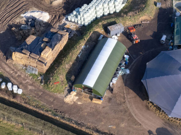 the-ultimate-calf-housing-for-modern-farms-big-1