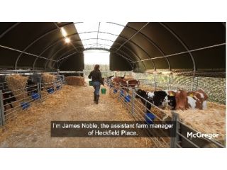 the-ultimate-calf-housing-for-modern-farms-small-0