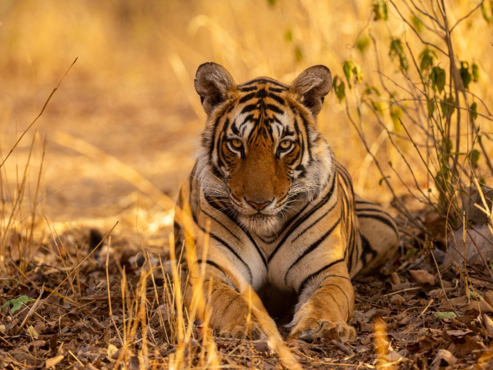 experience-india-unique-tour-packages-just-for-you-big-1