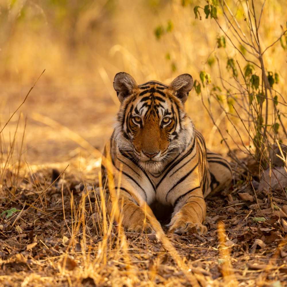 journey-through-india-exciting-tour-packages-available-big-1