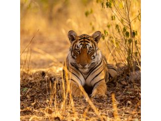 journey-through-india-exciting-tour-packages-available-small-1