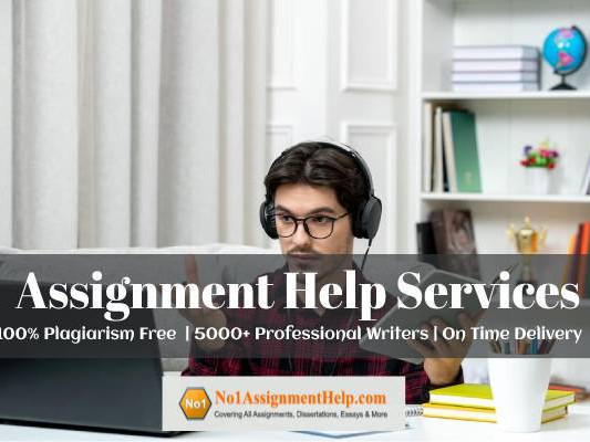 assignment-help-services-by-experts-at-no1assignmenthelpcom-big-0