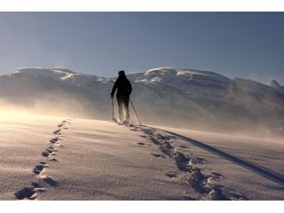 discover-the-beauty-of-trekking-on-the-majestic-himalayas-small-0