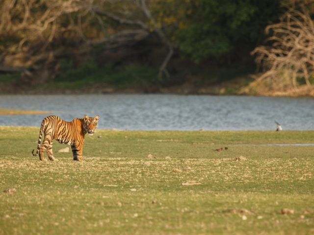 the-best-national-parks-to-visit-in-india
