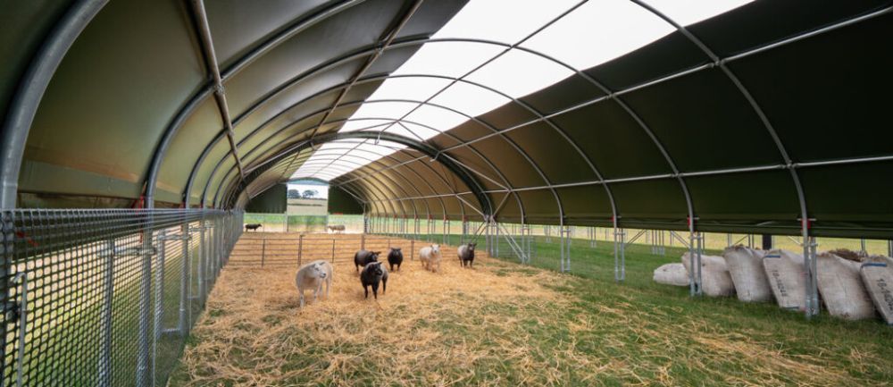 understanding-sheep-housing-requirements-in-the-uk-big-0