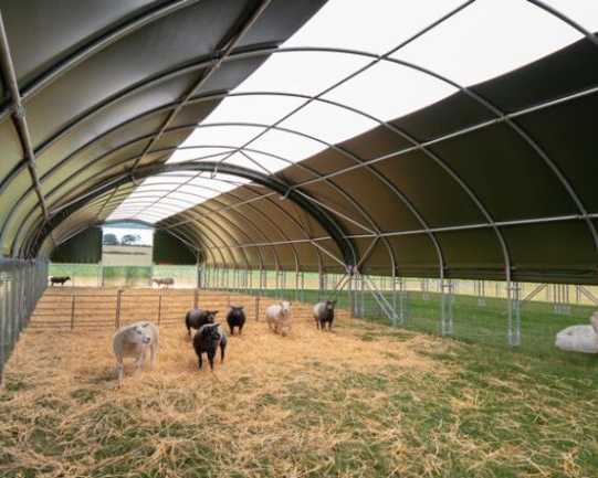 understanding-sheep-housing-requirements-in-the-uk