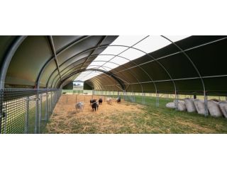 understanding-sheep-housing-requirements-in-the-uk-small-0