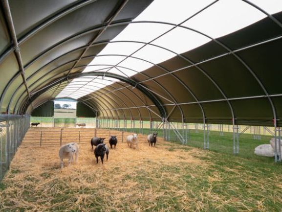 understanding-sheep-housing-requirements-in-the-uk