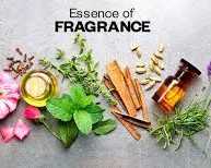 buy-long-lasting-fragrance-oils-for-candle