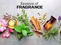 buy-long-lasting-fragrance-oils-for-candle