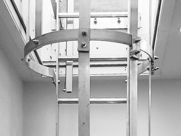 premium-hooped-cat-ladders-uk