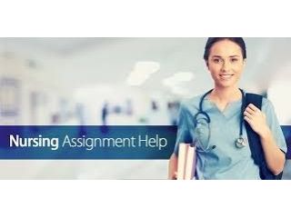 professional-academic-support-nursing-student-small-0