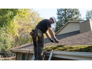 best-service-for-moss-removal-in-windsor-small-0