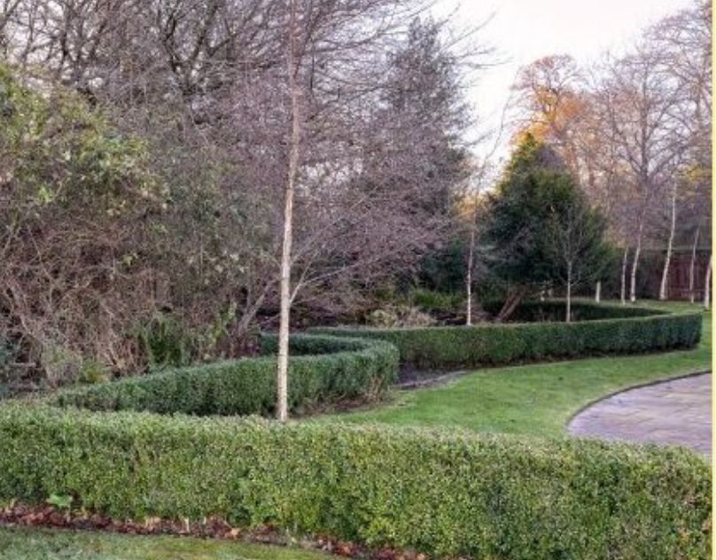 simple-solutions-with-garden-clearance-services-uk-big-0