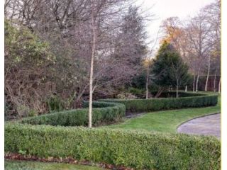 simple-solutions-with-garden-clearance-services-uk-small-0