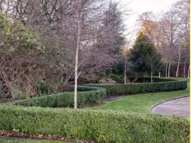 simple-solutions-with-garden-clearance-services-uk